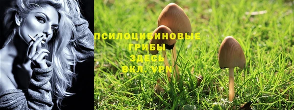 соль курить ск Пересвет
